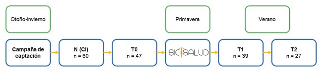 Esquema del desarrollo del proyecto (2015-17)