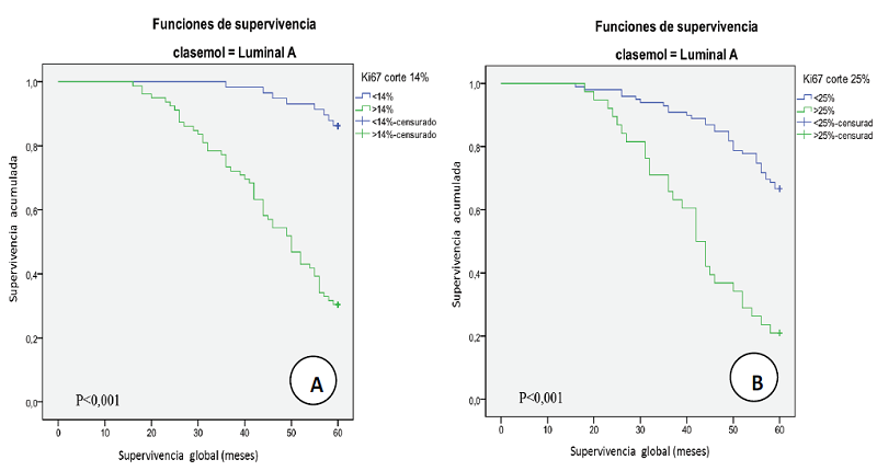 Relaci&oacute;n entre la supervivencia global y clase Luminal a seg&uacute;n el porcentaje de expresi&oacute;n de Ki-67 con un &iacute;ndice proliferativo con punto de corte en: (A) 14%, (B) 25%