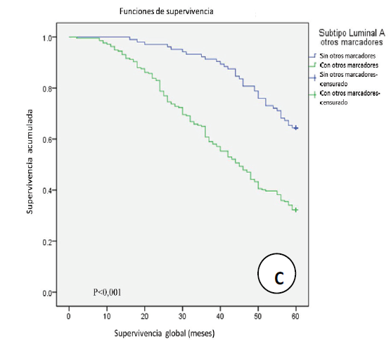 Relaci&oacute;n entre la supervivencia global y clase Luminal a seg&uacute;n la expresi&oacute;n de marcadores de tipo basal.
