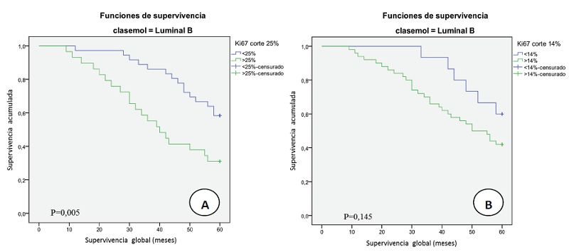 Relaci&oacute;n entre la supervivencia global y clase Luminal B seg&uacute;n el porcentaje de expresi&oacute;n de Ki67 con un &iacute;ndice proliferativo con punto de corte en: (A) 25%, (B) 14% 