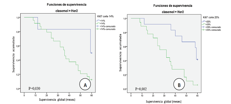 Relaci&oacute;n entre la supervivencia global y clase HER2 seg&uacute;n el porcentaje de expresi&oacute;n de Ki-67 con un &iacute;ndice proliferativo con punto de corte en: (A) 14%, (B) 25% y (C) seg&uacute;n la expresi&oacute;n de marcadores de tipo basal.