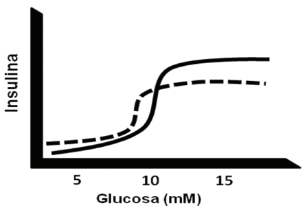 Cinética de secreción de la célula β pancreática. Modificado de: Roche Collado E 5. Glucolipotoxicidad en la célula β y su relación con la diabetes tipo 2.