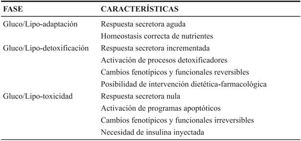 Fases de toxicidad de la célula β pancréatica