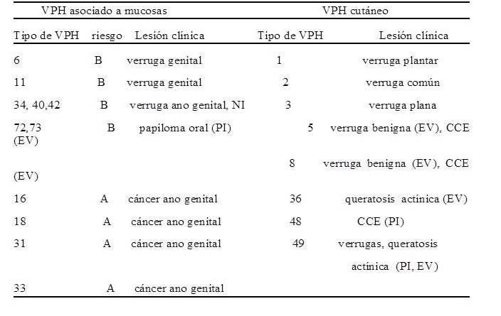 Tipos
de Virus del Papiloma Humano (VPH) y lesiones asociadas
