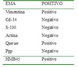 Informe de inmunohistoqu&iacute;mica No 712/08.