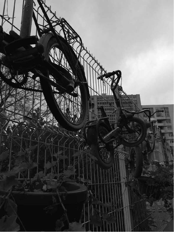 Paris - 2015, Johanna Orduz