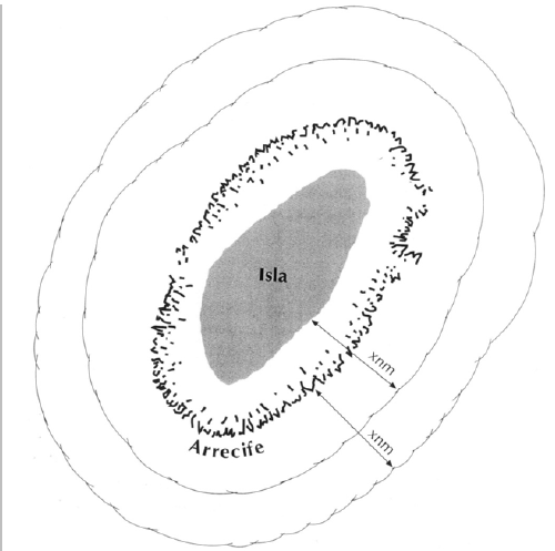 Arrecife/isla: las islas deben quedar comprendidas dentro del trazado de l&iacute;neas para su demarcaci&oacute;n