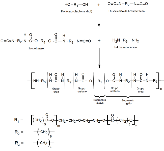 Esquema de la s&iacute;ntesis para obtener Poli(uretano urea) segmentados, mediante la t&eacute;cnica de prepol&iacute;mero (Guan et al., 2004; May et al., 2011) 