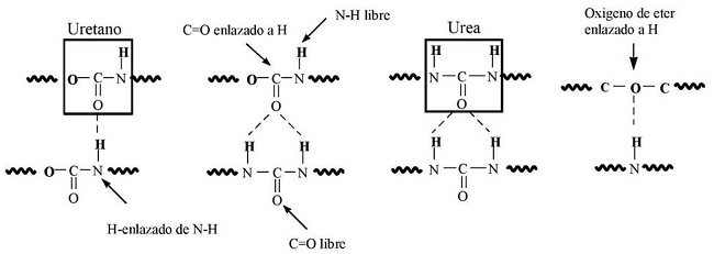 Esquema de posibles interacciones intermoleculares entre segmentos r&iacute;gidos y suaves