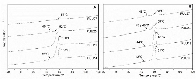 Termogramas de fusi&oacute;n de muestras de PUUs con diferentes porcentajes de SR: a) tratamiento de 0 d&iacute;as y b) de 140 d&iacute;as en PBS 