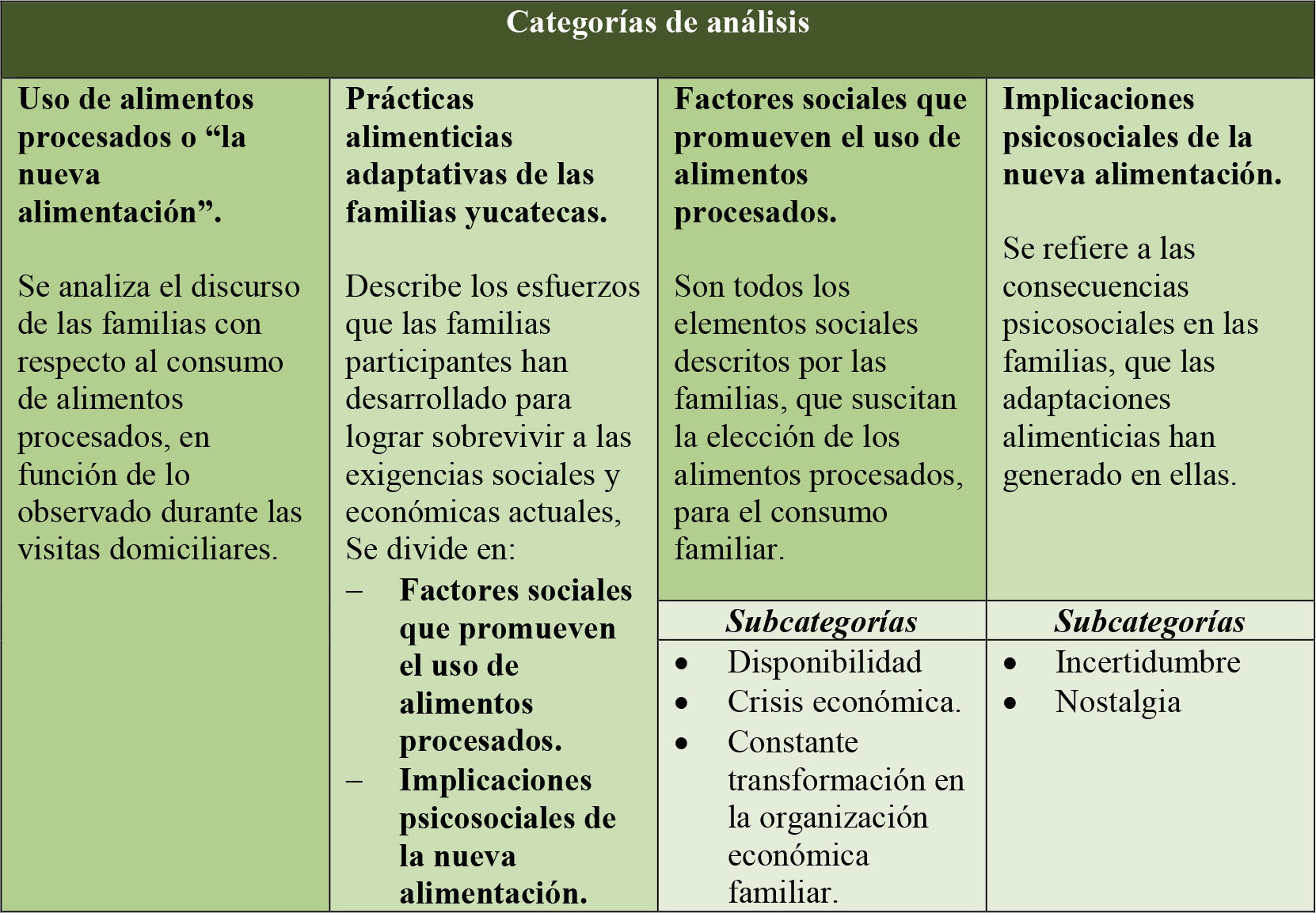 Descripci&oacute;n de las
categor&iacute;as de an&aacute;lisis