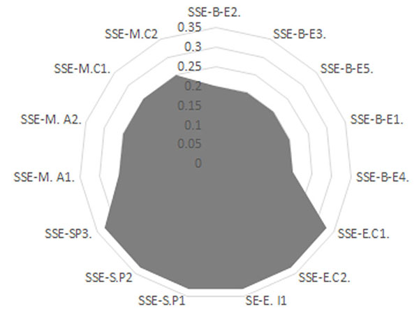 Sostenibilidad de los diversos elementos y sus SSE
      identificados en la ZPN