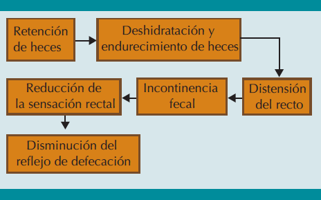 Muestra la fisiopatología (“circulo vicioso”) de la constipación funcional.