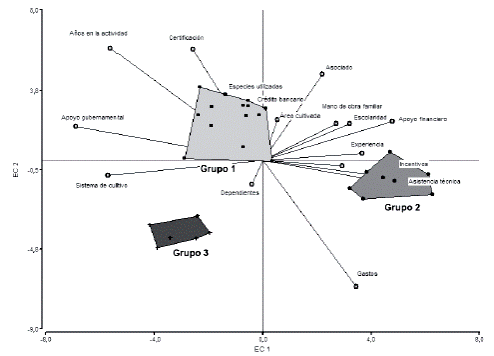 Representación bivariada de las variables seleccionadas y la agrupación de productores de hortalizas orgánicas del Gran Area Metropolitana de Costa Rica.