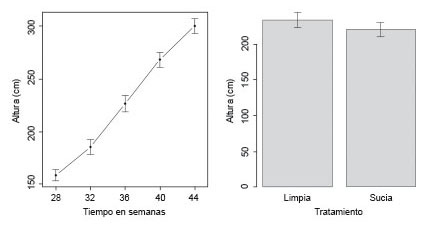  	Altura de las plantas de pl&aacute;tano Barraganete hasta el primer par de hojas (media de las 135 plantas en la gr&aacute;fica izquierda y medias de 54 plantas en la de la derecha).  El Carmen, Manab&iacute;, Ecuador. Marzo a julio de 2014.