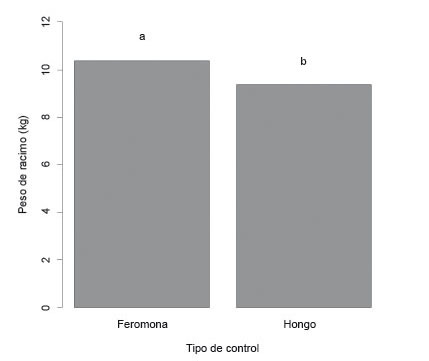 Influencia del tratamiento en el peso del racimo del pl&aacute;tano Barraganete. El Carmen, Manab&iacute;, Ecuador. Septiembre y octubre de 2014.