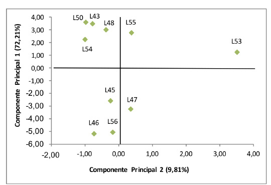 Distribuci&oacute;n de diez colectas mexicanas de L. siceraria, con base al an&aacute;lisis de diecisiete caracteres en los dos primeros componentes principales. Campo Experimental del Instituto de Ciencias Agr&iacute;colas, Universidad Aut&oacute;noma de Baja California, M&eacute;xico. 2014.