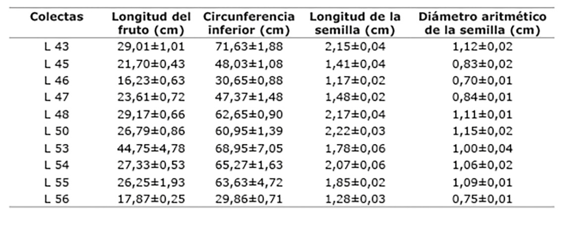 Media y error est&aacute;ndar de caracteres longitud de fruto, circunferencia inferior en fruto, longitud de semillas y di&aacute;metro aritm&eacute;tico de semilla, en diez colectas mexicanas de L. siceraria. Campo Experimental del Instituto de Ciencias Agr&iacute;colas, Universidad Aut&oacute;noma de Baja California, M&eacute;xico. 2014.