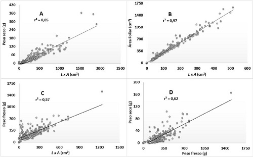 Regresiones lineales modeladas entre el largo por ancho (LxA), peso fresco y distintas variables determinadas en tallos de pitahaya (
							H. costaricensis y 
							H. monocanthus), medidos en el tr&oacute;pico con estaci&oacute;n seca. Costa Rica. 2017. 
						