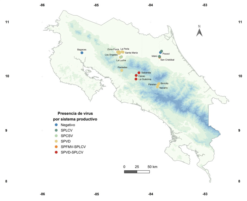 Virosis en sistemas productivos de camote (Ipomoea batatas L.), en diferentes localidades de Costa Rica. Mayo, 2019.