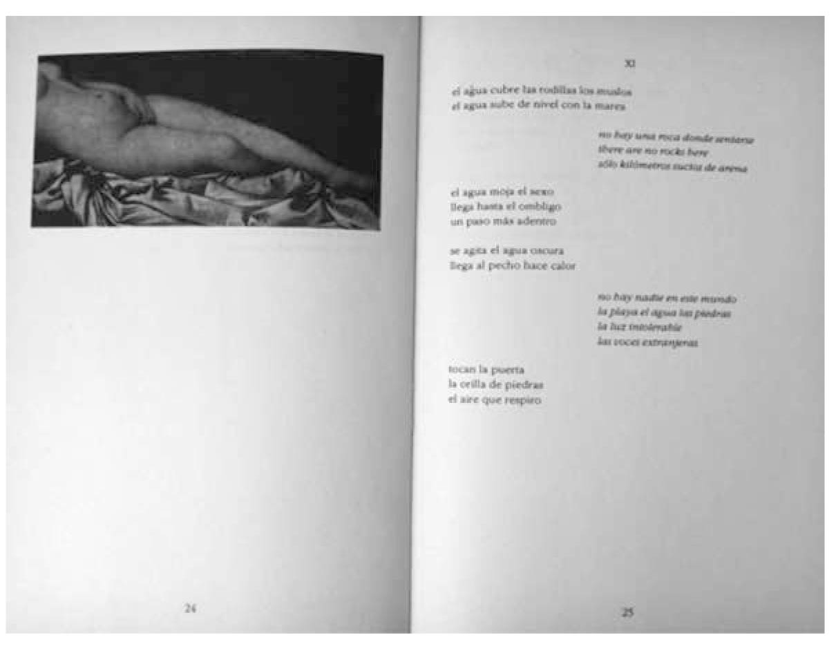 Strepponi, Las vacas