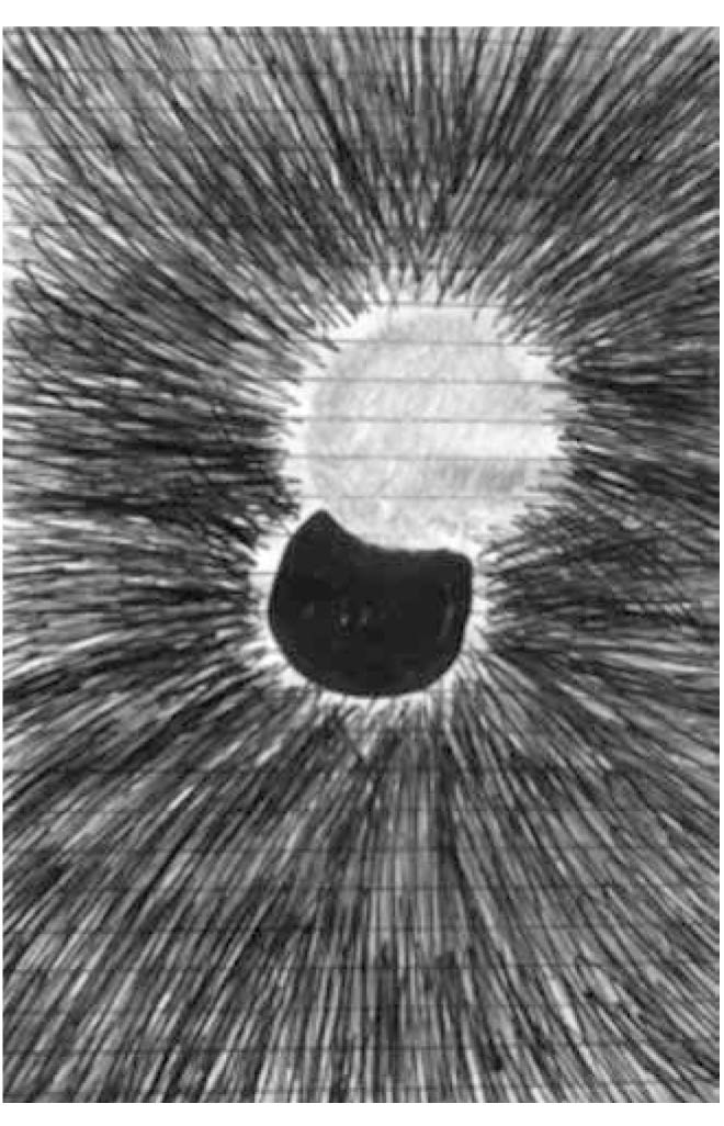 Strepponi, Balada de la revelación 2