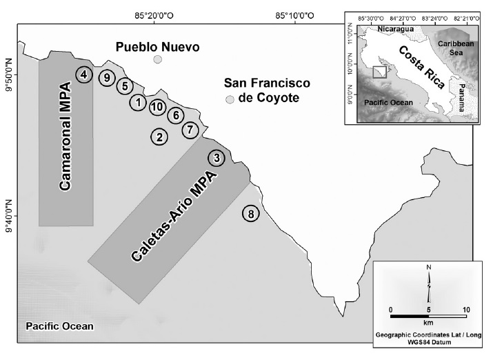 bottom longline fishing