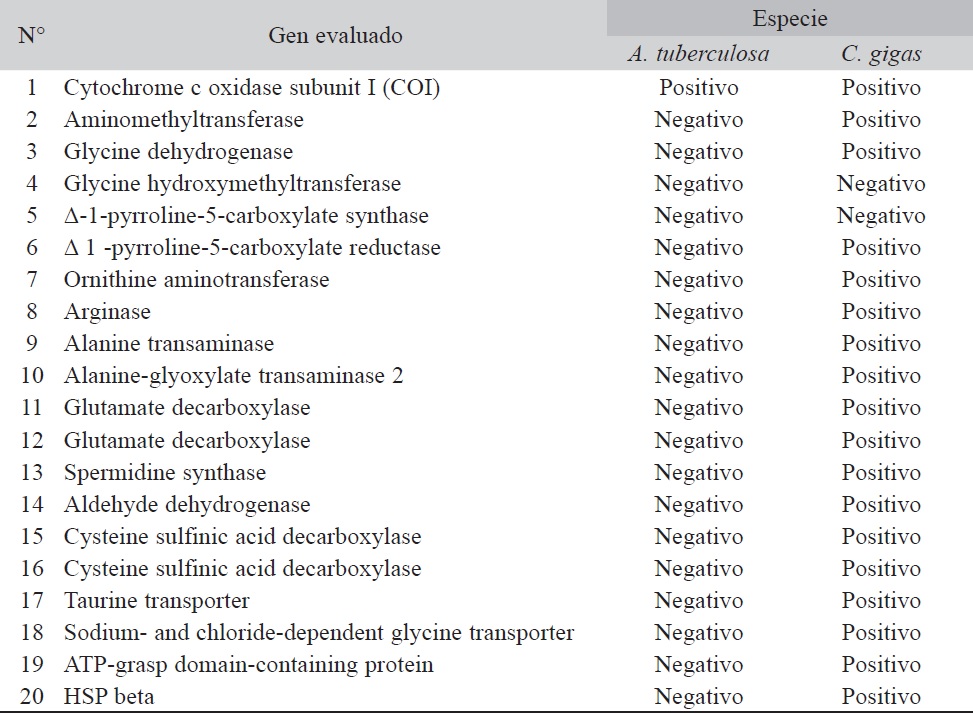 Resultados de las amplificaciones de genes que intervienen en la síntesis de aminoácidos libres obtenidos por PCR en este estudio.