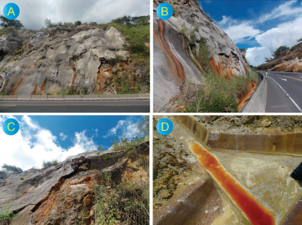 A) Concreto lanzado con pátinas de óxidos de hierro en la parte inferior. B.) En la parte central se observa la cuneta con acumulación de óxidos de hierro. C) Colapso de concreto lanzado que deja expuesto el acero de las mallas electro-soldadas. D) Acumulación de aguas con coloración rojiza en una cuneta ubicada en la segunda berma del talud LD estacionamiento 48+000 de la RN- 27. Nótese los bordes de color blancuzco producto de la reacción del componente calcáreo del cemento de la cuneta y el agua ácida.