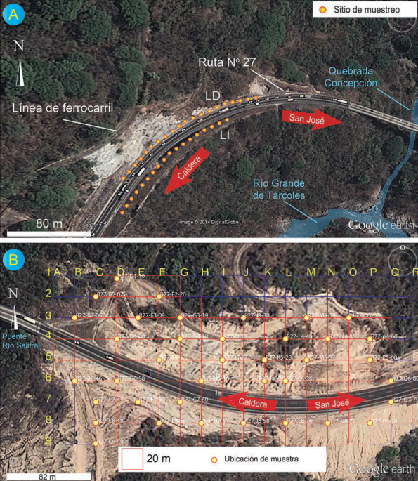 Imágenes tomadas de Google Earth(r) A) Ubicación del sitio donde se tomaron las muestras de roca para análisis de pH en pasta. Talud con una pendiente general >55° e incluso casi vertical en algunos puntos, presenta dimensiones de 120 m de largo y 14 m de alto, además presenta diferentes tonalidades de color rojo, amarillo y anaranjado típicas de la oxidación de sulfuros y óxidos de hierro. LD = Lado derecho, LI = Lado izquierdo. B) Ubicación del sitio donde se tomaron las muestras de suelo en el estacionamiento 48+000, los taludes a ambos lados de la carretera presentan material muy disgregado con diferentes tonalidades (rojizas amarillentas) y grados de alteración (desde poco alterada hasta completamente alterada).