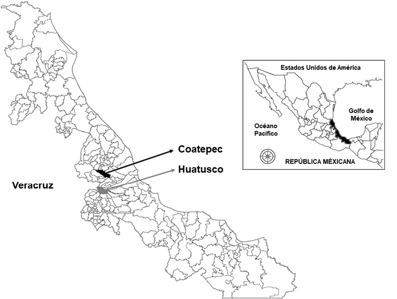 Ubicación de las regiones cafetaleras de Coatepec y Huatusco, Veracruz