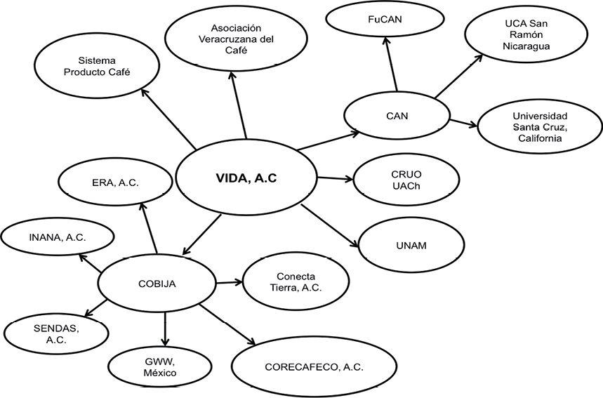 Redes conformadas por VIDA A.C.