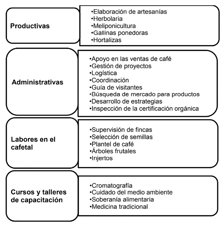 Acciones colectivas de los socios de VIDA A.C.