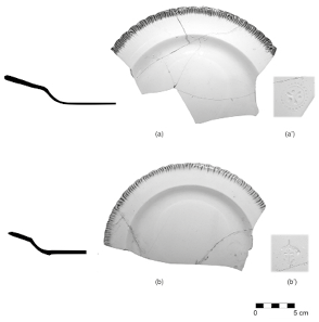 Fragmentos del tipo a) Borde de Concha Azul sobre Blanco y b) Borde de Concha variedad Verde