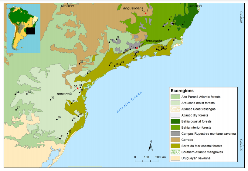 Locality records for Castoria gen. nov.; type localities of available nominal forms are indicated. See Supplementary Material S1 for a geographic gazetteer.