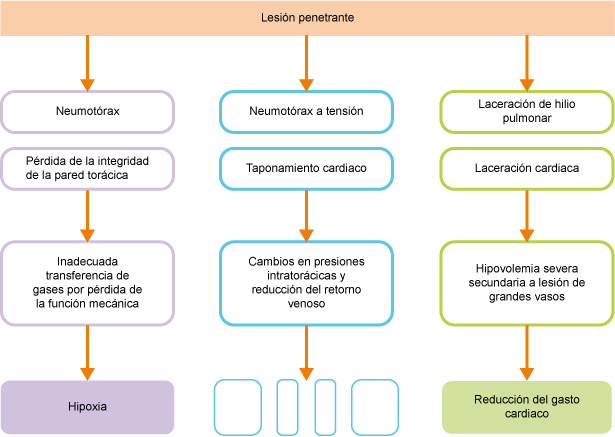 Resumen de la fisiopatolog&iacute;a de trauma penetrante de t&oacute;rax


