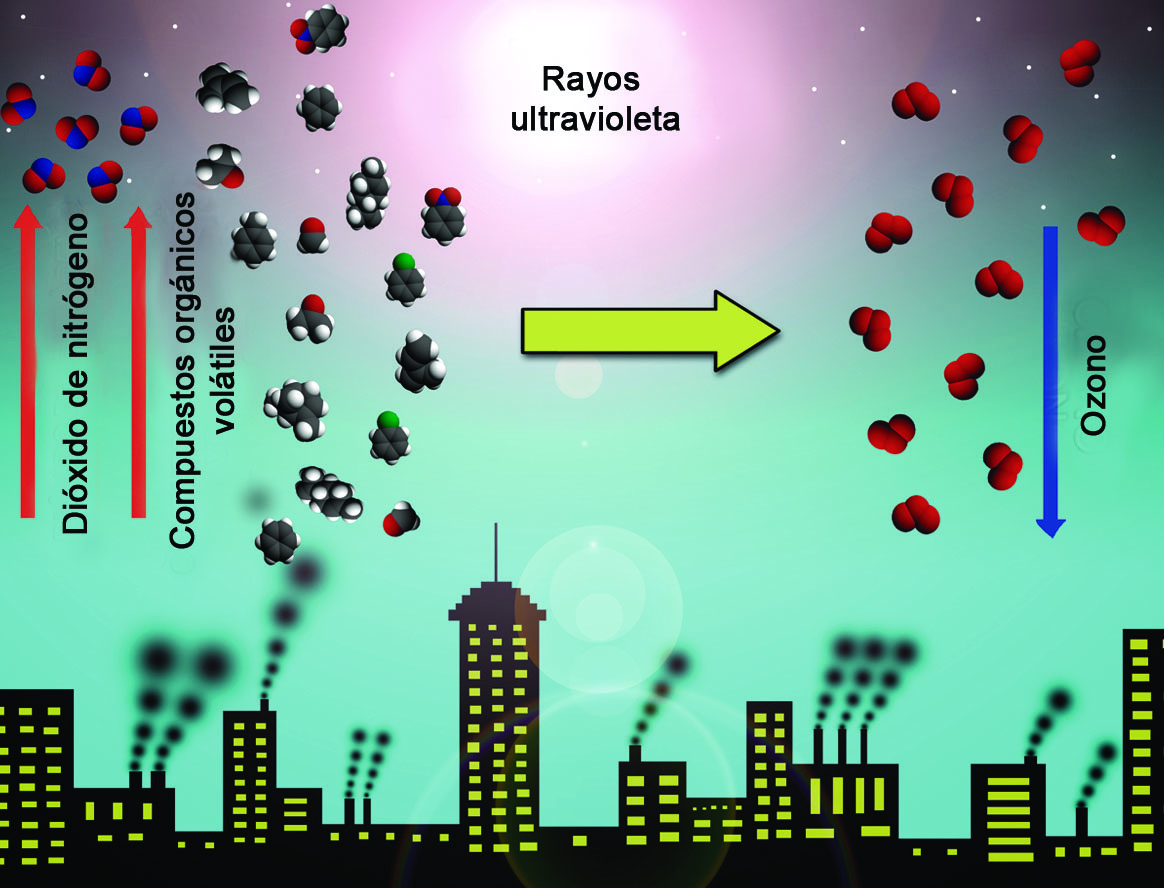 Formación de ozono a partir de una reacción química entre dióxido de nitrógeno
y compuestos orgánicos volátiles en presencia de rayos ultravioleta
provenientes del sol