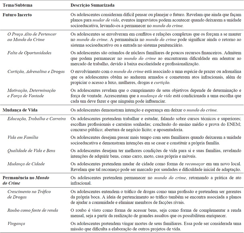 Descrição sumarizada dos temas gerados na análise de dados