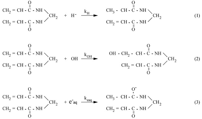Preliminary Analysis Of N Vinylpyrrolidone Based Polymer Gel Dosimeter