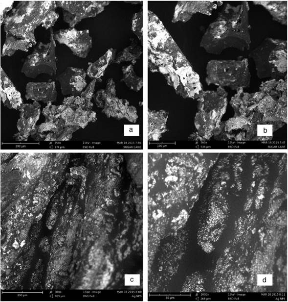 Scanning electron micrographs of silver nanoparticles (a, b) and nanocomplex (c, d) in different magnifications.