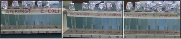 Aqeous solution of the synthesized ligand, nanoparticles and nanocomplex with the microbes.