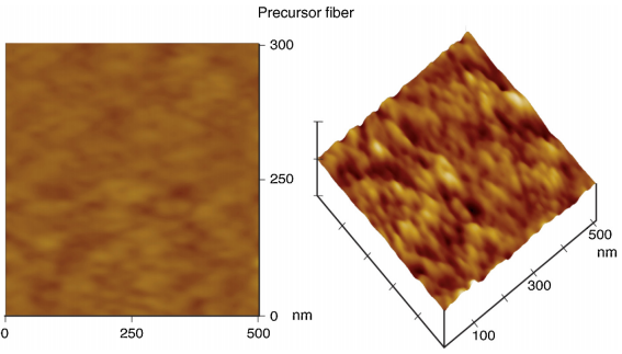AFM micrographs of the precursor fibers: 2D and 3D.