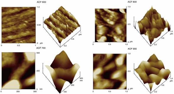AFM micrographs of the ACFs at various temperatures: 2D and 3D of ACF 600; 2D and 3D of ACF 700; 2D and 3D of ACF 800; and 2D and 3D of ACF 900.