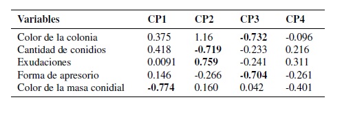 Resultado
estad&iacute;stico en el an&aacute;lisis de componentes principales hasta la cuarta
componente, con los aportes de variables cualitativas y cuantitativas. 