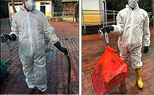   Cuantificaci&oacute;n de residuos usando el respectivo equipo de protecci&oacute;n personal