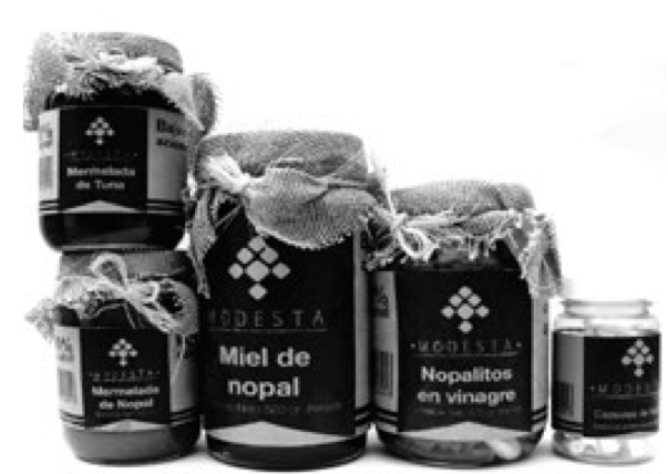 Frente de propuesta para envase de vidrio