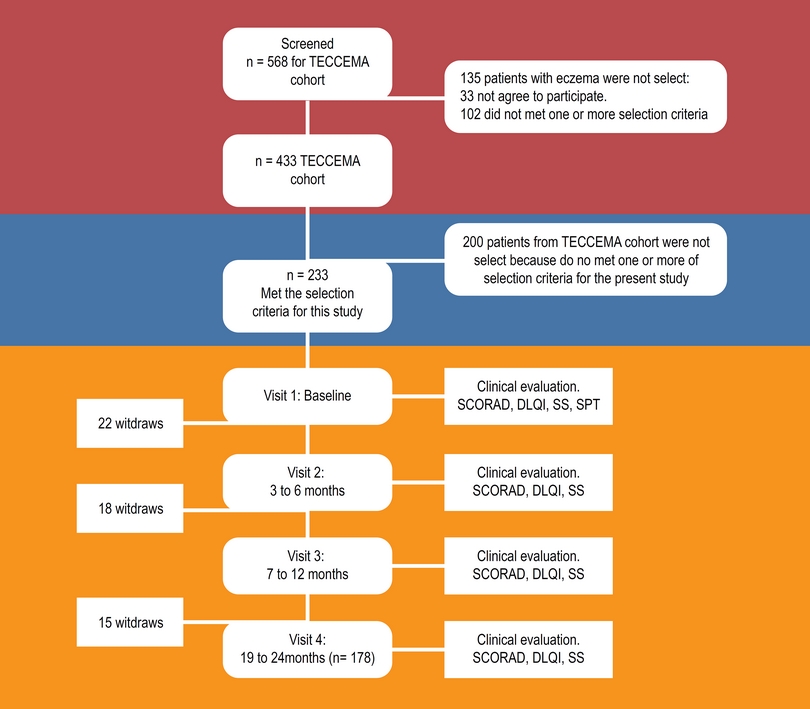 Flowchart. TECCEMA, tropical environmental control for chronic eczema
                            and molecular assessment.