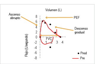 Curva flujo-volumen. Se observan criterios de aceptabilidad de inicio y t&eacute;rmino; maniobra libre de artefactos. PEF = pico espiratorio flujo.