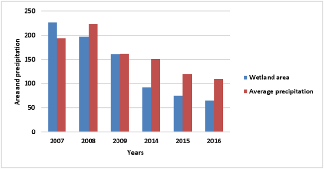 Relationship between wetland area and precipitation. Elaborated by authors, with data from Aguas de Manizales.