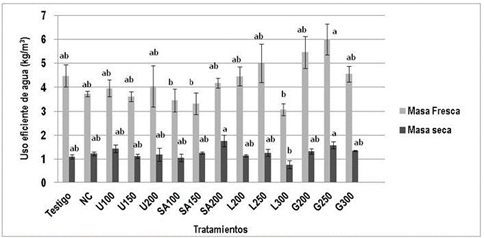 Uso eficiente de consumo de agua en kg/m3 de masa fresca y seca en función del tipo de fertilizante nitrogenado en albahaca. Comparación de medias realizada con la prueba de Tukey al 95 % (F=4,33; p=0,00) para masa fresca y (F=2,83; p=0,01) para masa seca. TA= testigo absoluto; NC= nitrato de calcio; U= urea recubierta; SA= sulfato de amonio; L= lombricompost; G= Gallinaza. Los números indican las dosis evaluadas de N en kg·ha-1.